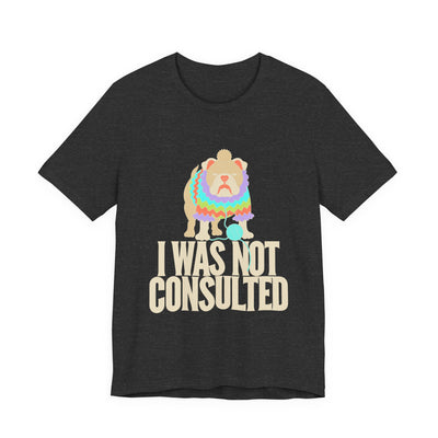 I Was Not Consulted tee flat front, dark grey heather unisex tee, bulldog in a knitted sweater
