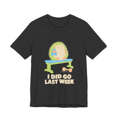 I Did Go Last Week tee flat front, dark grey heather unisex tee, cream print