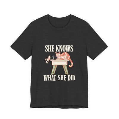 She Knows What She Did tee flat front, dark grey heather unisex tee, tabby cat by a falling glass