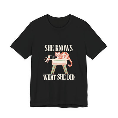 She Knows What She Did tee flat front, black unisex tee, tabby cat by a falling glass